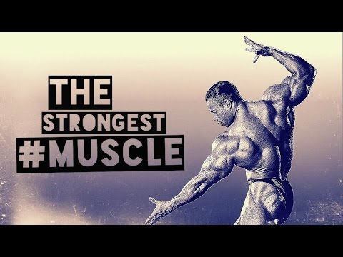 BODYBUILDING MOTIVATION - THE MIND IS YOUR STRONGEST MUSCLE