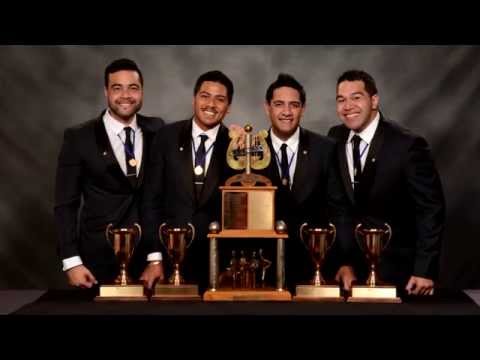 Musical Island Boys - "Become world champs"
