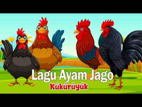 Lagu Anak Kukuruyuk - Lagu Ayam Jago dan Bebek - Lagu anak Indonesia