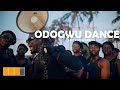 Prinx Emmanuel- Bigger ( odogwu) | Official Dance video || LETS DANCE AFRICA || thegreatnet