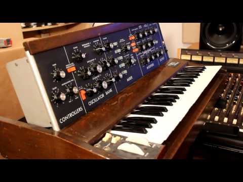 Moog Minimoog Model D 44-Key Monophonic Synthesizer 1971 - 1982 - Black / Wood image 4