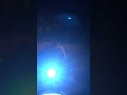 Hien Gabriel   Bọn chó canh tôi ngày canh đêm  Nhờ bà con