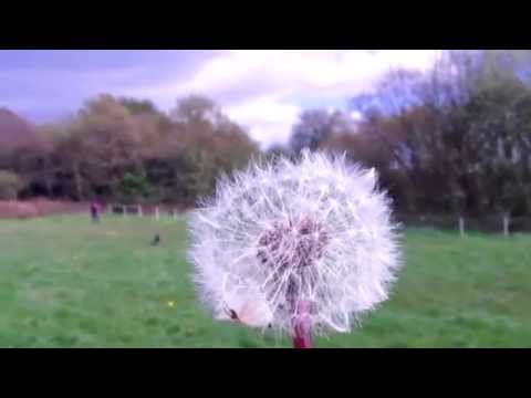 "GAME OVER" feat BabyGee Dubstep hiphop reggae best mix 2015