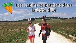 preview picture of video 'Les Lapins Runners se perdent dans la Côte d'Or !'