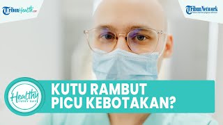 Benarkah Kutu Kepala Memicu Kebotakan Rambut? Kenali Gejala hingga Penyebabnya