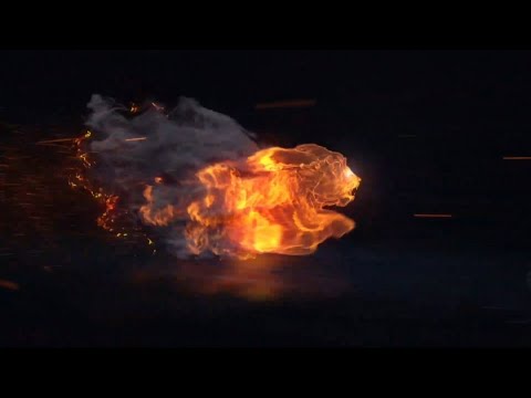 Lion Fire Logo Intro Black Screen (Free Download)