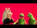 Happy Valentine S Day From The Muppets The Muppets
