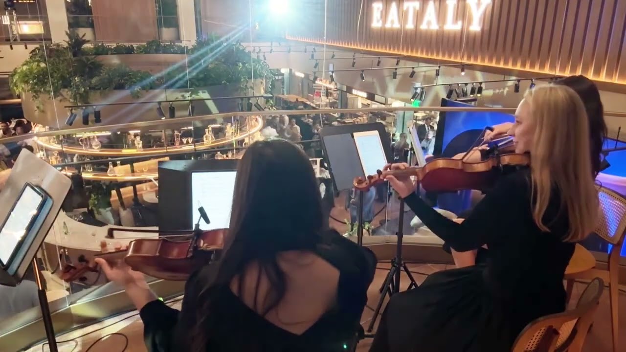 Promotional video thumbnail 1 for Perle Noire String Musicians