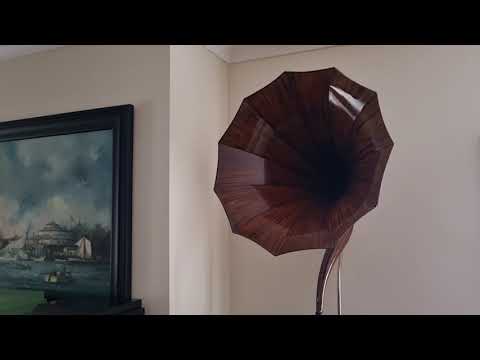 Playing rare Edison phonograph cylinder record 4529 Who Stole the Chickens ? Golden & Hughes