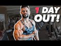 KEINE Chance gegen DIESE Mutanten?! | 1 Day Out Olympia Bodybuilding Wettkampf