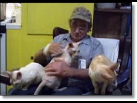 Jake Perry’s Cats Often Live More Than 30 Years