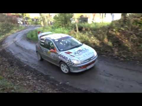 6 Runda RPŚ 2017 - Artur Podżorski / Agata Legierska - Peugeot 206