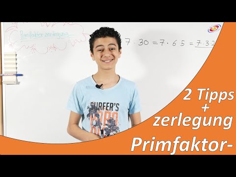 Primfaktorzerlegung | Einfach erklärt