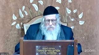 הרה"ג הרב וועכטר שליט"א ט"ז שבט תשפ"ו - מאמר הרבי הריי"צ תרפ"ח ד"ה יהודה אתה יודוך אחיך חלק ב'  (הרב אברהם מנחם מענדל וכטר) - התמונה מוצגת ישירות מתוך אתר האינטרנט יוטיוב. זכויות היוצרים בתמונה שייכות ליוצרה. קישור קרדיט למקור התוכן נמצא בתוך דף הסרטון