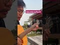 สอนเพลงแฟนเก่า Fingerstyl