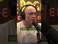 Joe Rogan Asks Colossal CEO Ben Lamm If We're Bringing Back The Saber Toothed Tiger