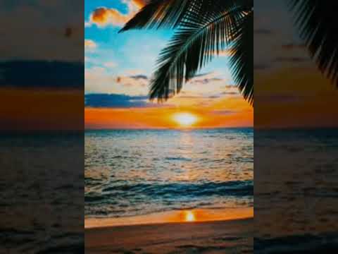 Bro'G ft Kalebonetime PRETTY