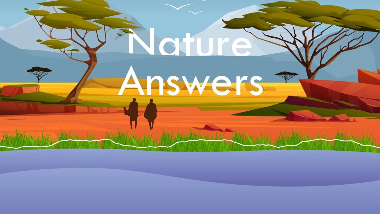Banking on the herd: How ancient manure techniques outlast modern droughts in Zambia