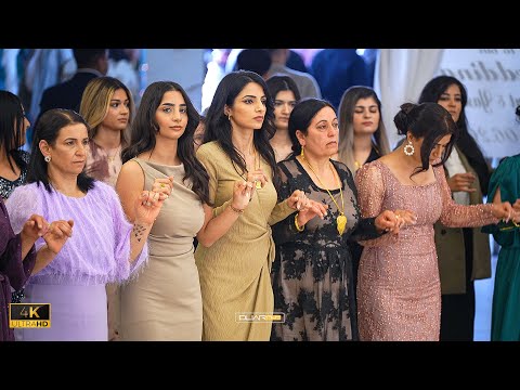 Sezgin Efshiyo | Serhat & Yasemin | Part02 | Pandora Deko | 4K | by #dliarfilmproduction