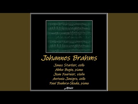 Piano Trio NO. 1 In B-Minor, Op. 8: IV. Finale. Allegro Molto Agitato