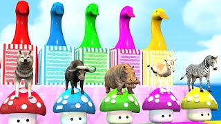 Download lagu 🕋Makkah Live TV | مكة المكرمة بث مباشر | قناة القرآن الكريم | Live Masjid Al Haram | Makkah Today HD mp3 Download lagu 🕋Makkah Live TV | مكة المكرمة بث مباشر | قناة القرآن الكريم | Live Masjid Al Haram | Makkah Today HD mp3