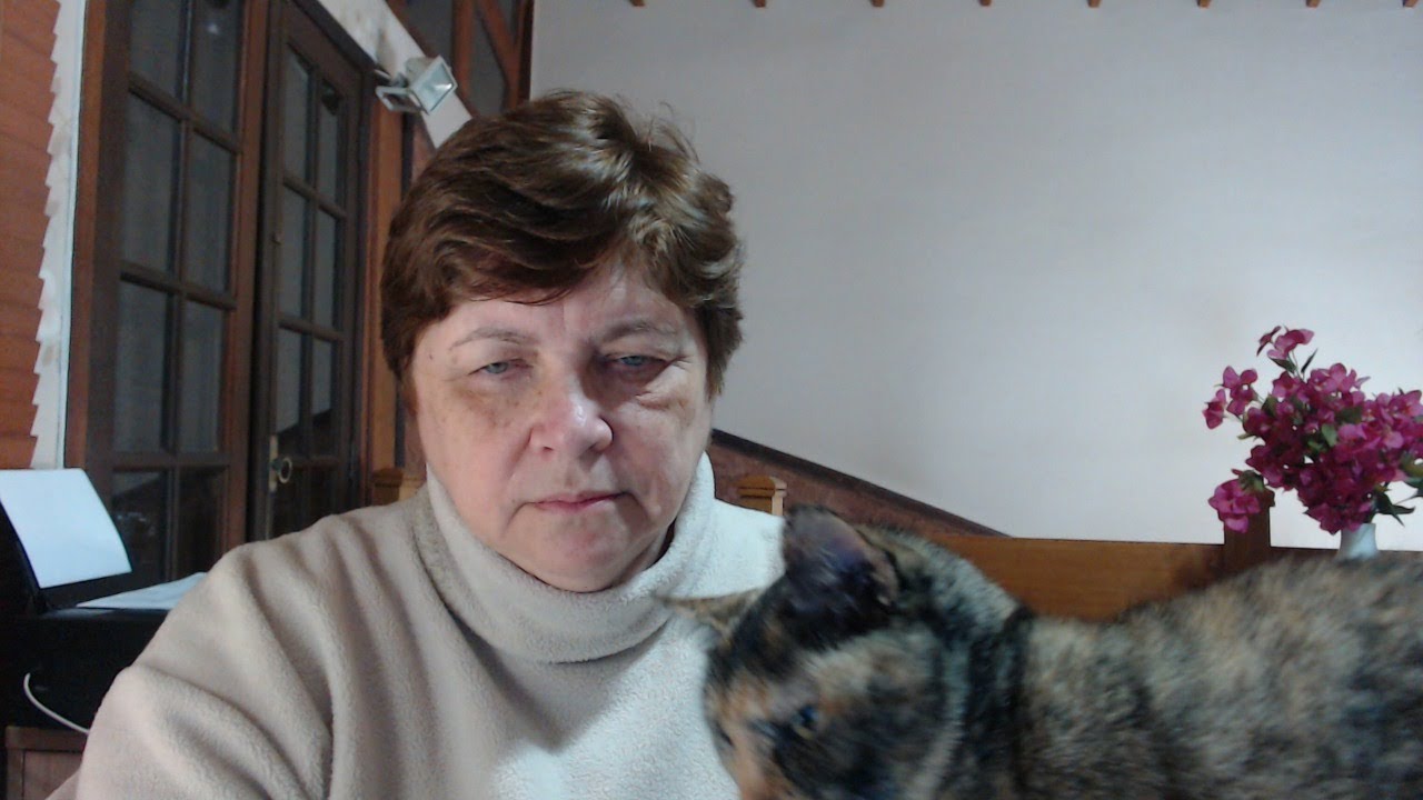 SHELL Y ANN :ASSUMINDO O PODER CRIADOR , 30\7\2020