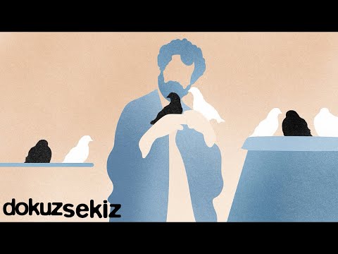 Video thumbnail for Martı