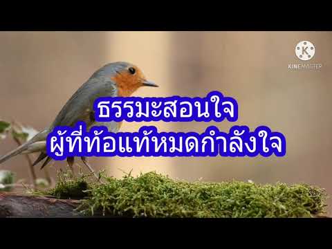 คลิกเพื่อดูคลิปวิดีโอ