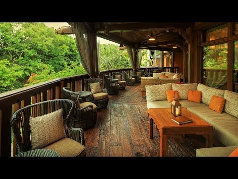 Animal Kingdom | Nomad Lounge | BGM Loop