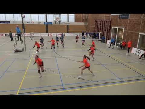 Seesing Flex | Longa'59 DS2 VS VIOS Beltrum DS1