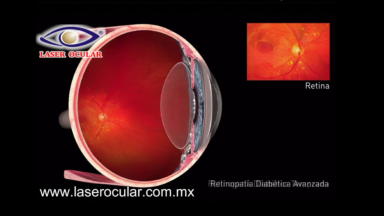 Fabiola De Orta Arellano-24