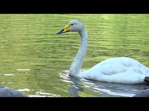 Välkommen till Söderåsens nationalpark