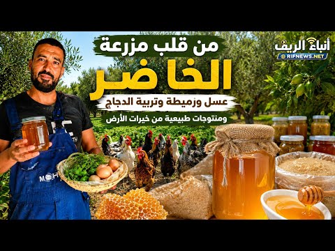 من قلب مزرعة الخاضر.. عسل وزميطة وتربية الدجاج ومنتوجات طبيعية من خيرات الأرض