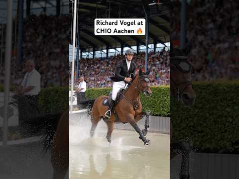 When Richi spots the camera 🐎📷  #chioaachen #showjumping #showjumper