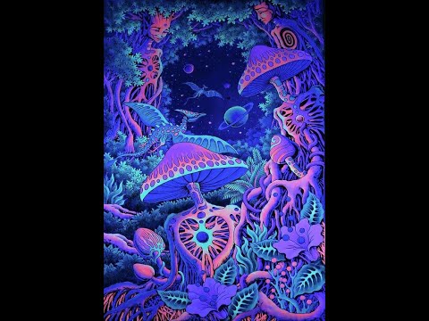 Goa Trance Classics Vol.24 - mixed by Ashipu