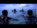 The Reef 2010 Official Trailer