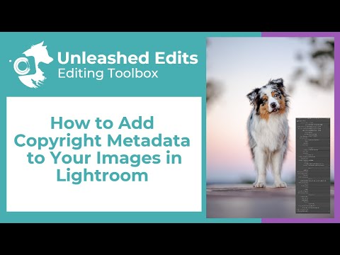 How to Add Copyright Metadata to Your Images in Lightroom / Dog Photography Editing