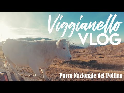 Viggianello & the Pollino National Park | VLOG | Feat. Cresh and Fiat Panda