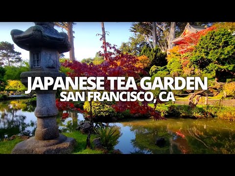 Exploring The Japanese Tea Garden in San Francisco, California USA Walking Tour #japaneseteagarden