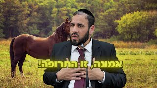 אמונה, זו התרופה! | הרב דוד פריוף (הרב דוד פריוף) - התמונה מוצגת ישירות מתוך אתר האינטרנט יוטיוב. זכויות היוצרים בתמונה שייכות ליוצרה. קישור קרדיט למקור התוכן נמצא בתוך דף הסרטון אמונה, זו התרופה! | הרב דוד פריוף (הרב דוד פריוף) - התמונה מוצגת ישירות מתוך אתר האינטרנט יוטיוב. זכויות היוצרים בתמונה שייכות ליוצרה. קישור קרדיט למקור התוכן נמצא בתוך דף הסרטון