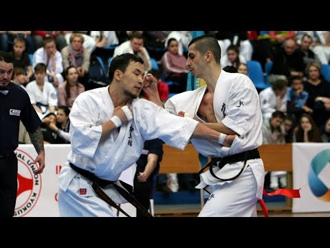 Sadvokasov Nurlykhan vs Catalin Mihai Mocanu. Kyokushin Profi 2019
