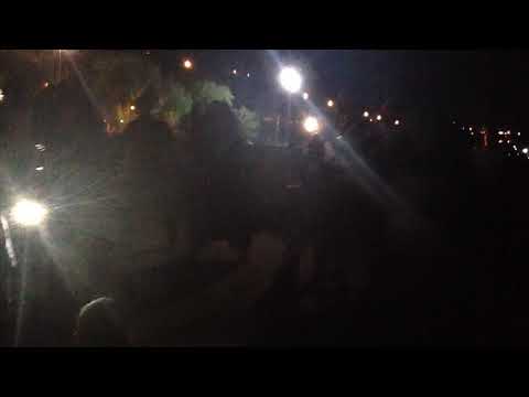 Diyarbakır halayı çalınca dayanamadım oynadım