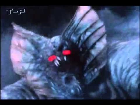 Daileon mata Stan Goss