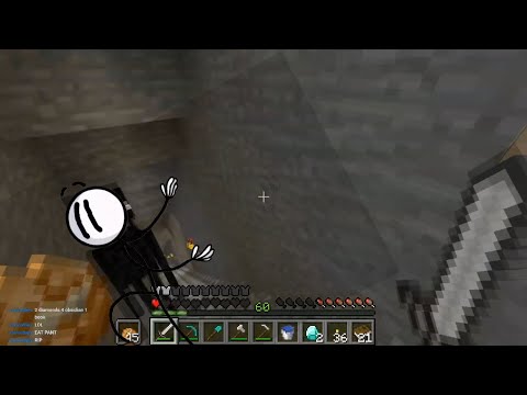 "WTF was that damage my guy" but its Henry Stickmin