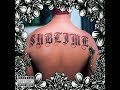 Sublime Santeria Lyrics