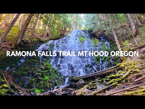 RAMONA FALLS TRAIL MT HOOD OREGON