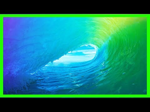 Breaking News | Rapper princess vitarah learns some fun facts after prompting twitter