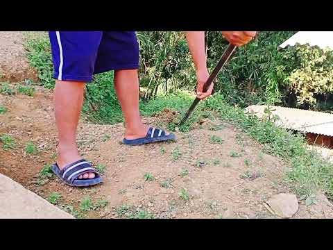 Ep:76 Making Footsteps Easy Way/Mon Nagaland/ day 1