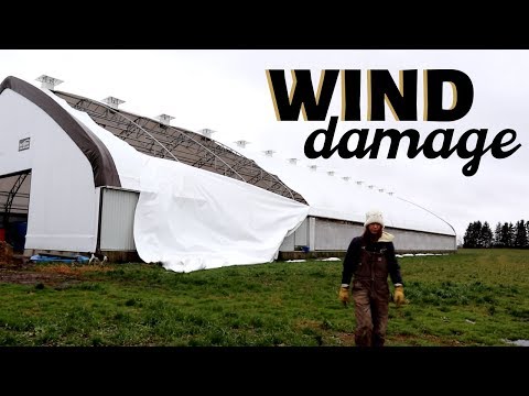 Wind Damage To Our Sheep Barn (WHILE PREPPING FOR LAMBING!): Vlog 182