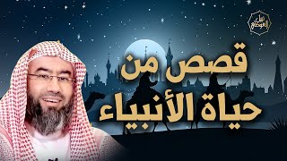 صورة نبيل العوضي | قصص الأنبياء | مجموعة رائعة لقصص الأنبياء بتفاصيل تجعلك تعيش أروع حكاياتهم